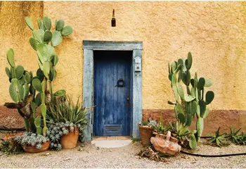 Мексиканский кактус Западная жизнь Пустынное растение Сагуаро Садовая дверь Ковбой день рождения фото фон фотография фон баннер